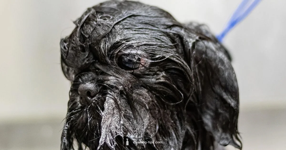 Dog Grooming Guide - Cleaning Tips