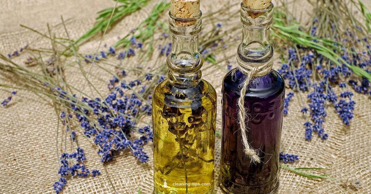 Oil Cleanser Troubleshooting Oil Cleanser Troubleshooting - Cleaning Tips