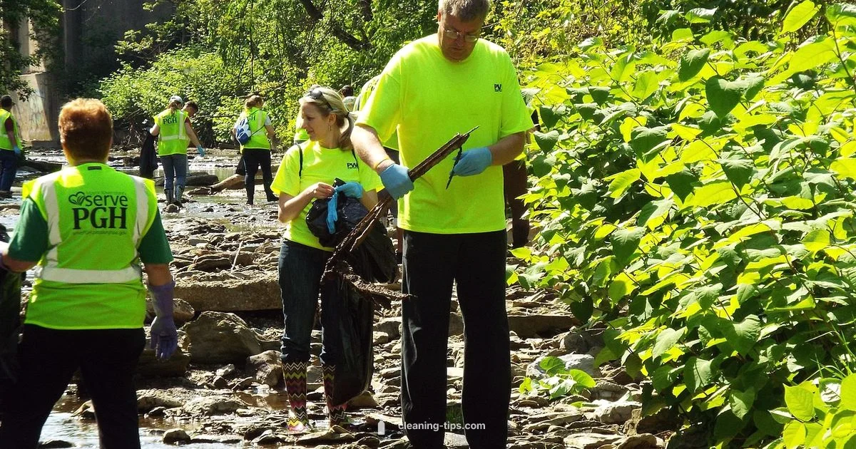 Clean Watching Guide - Cleaning Tips