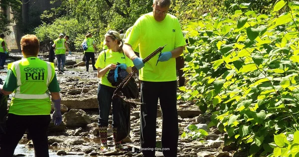 Clean Watching Guide - Cleaning Tips