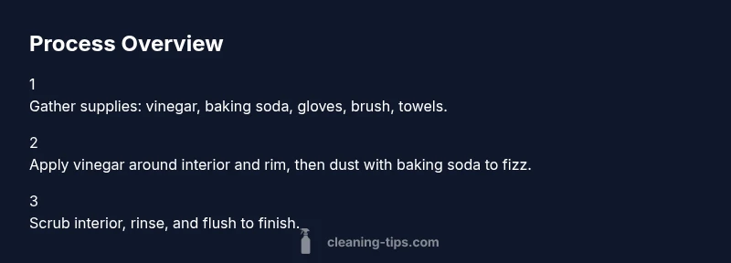 Infographic showing a step-by-step process to clean a toilet bowl with vinegar and baking soda