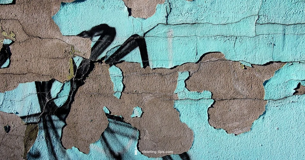 Wall Mold Cleanup - Cleaning Tips