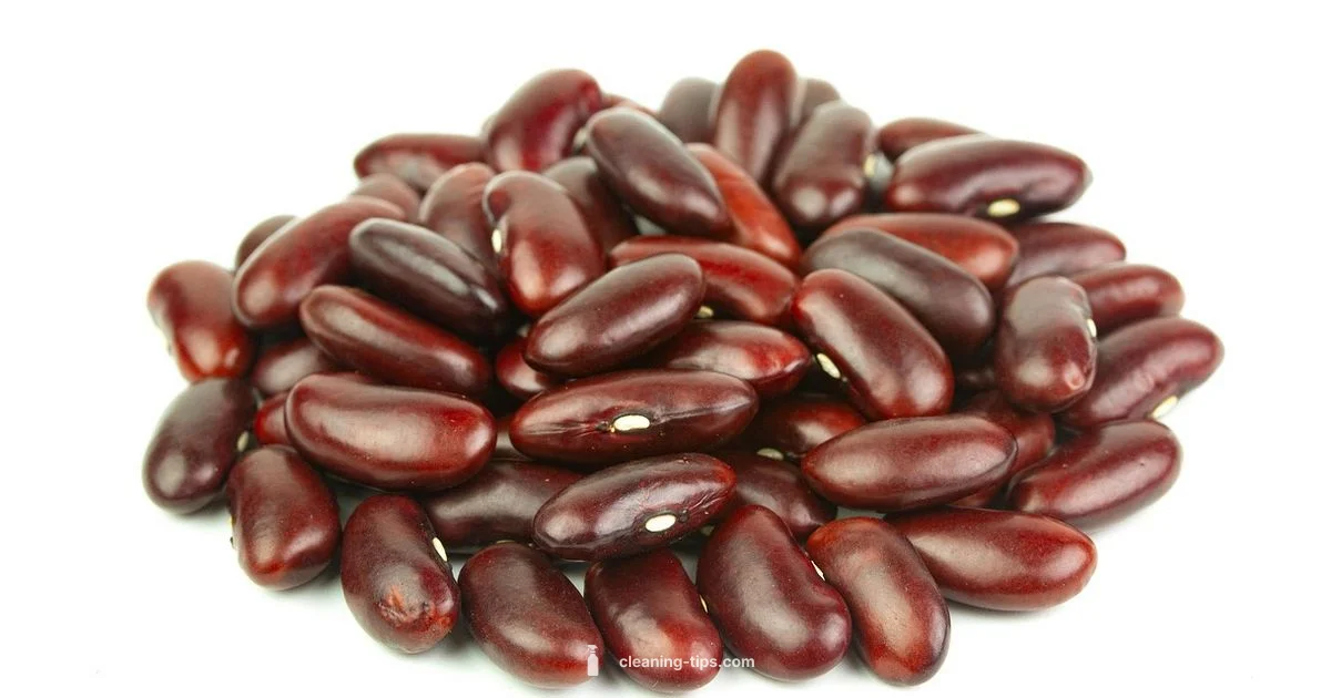 Kidney Health Basics - Cleaning Tips