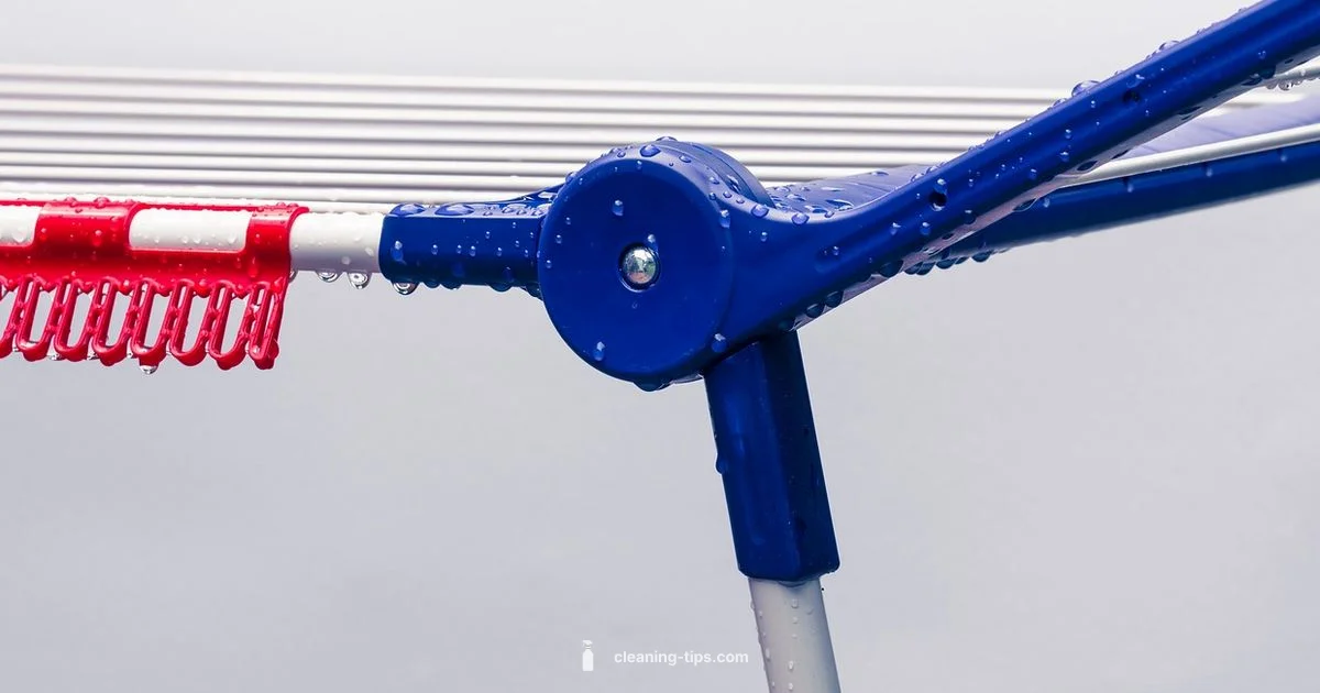 Fresh Tees Care Guide - Cleaning Tips