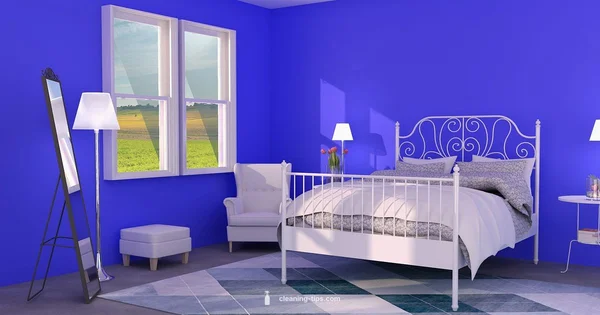 Carpet Cleaning Guide - Cleaning Tips