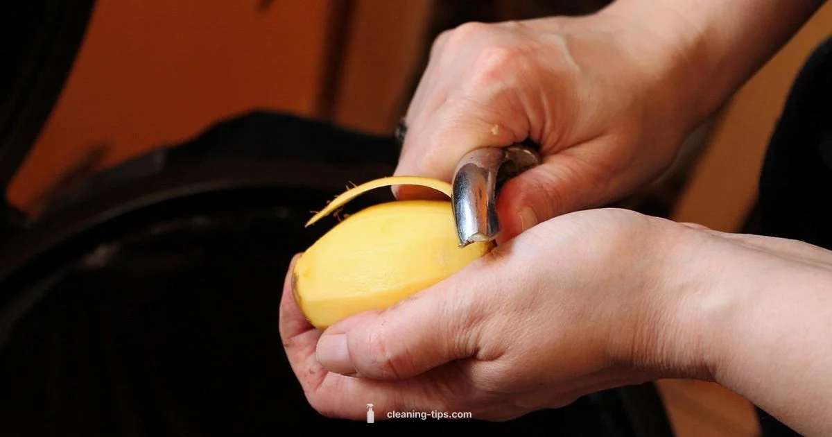 Fast & Clean Guide - Cleaning Tips