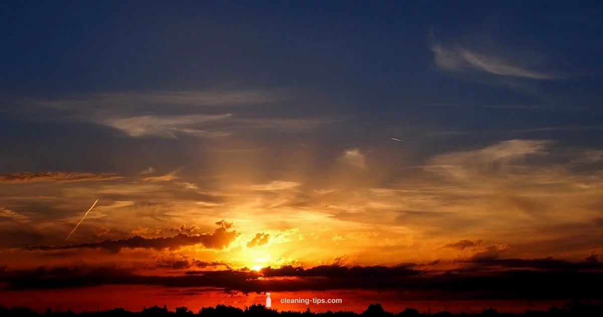 Budget Cleaning Guide Budget Cleaning Guide - Cleaning Tips