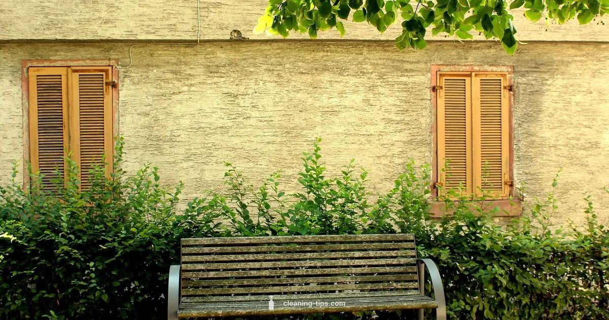 Suede Care Guide Suede Care Guide - Cleaning Tips