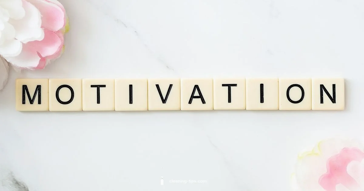 Clean for a Reason - Cleaning Tips