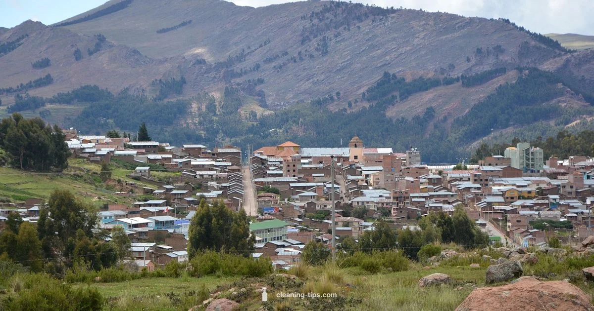 Mold Cleaning Guide - Cleaning Tips