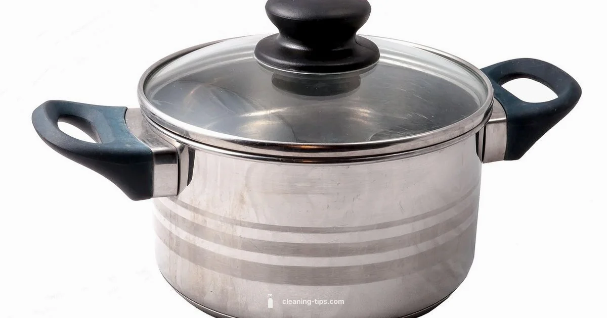 Shiny Stainless Pan Shiny Stainless Pan - Cleaning Tips