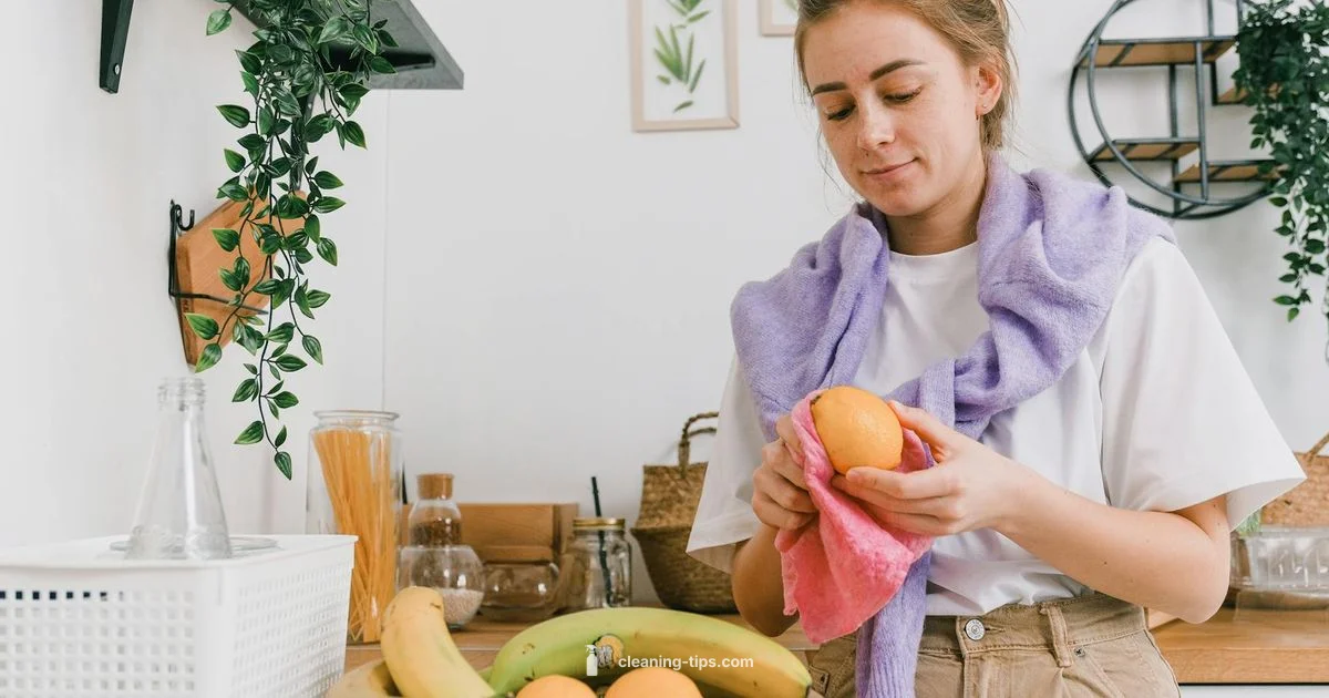 Eco Bandit Clean - Cleaning Tips