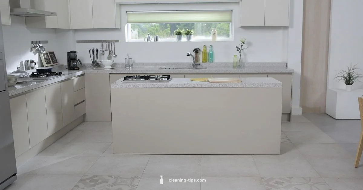 MR Clean on Floors - Cleaning Tips