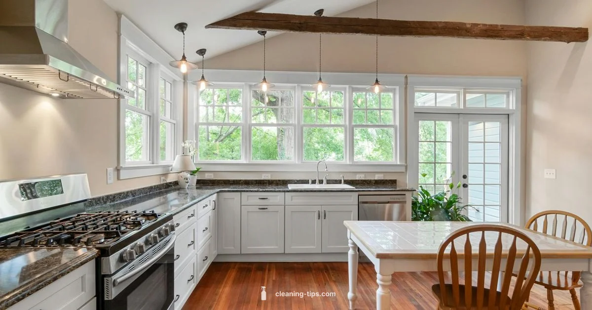 Naturally Clean Guide - Cleaning Tips