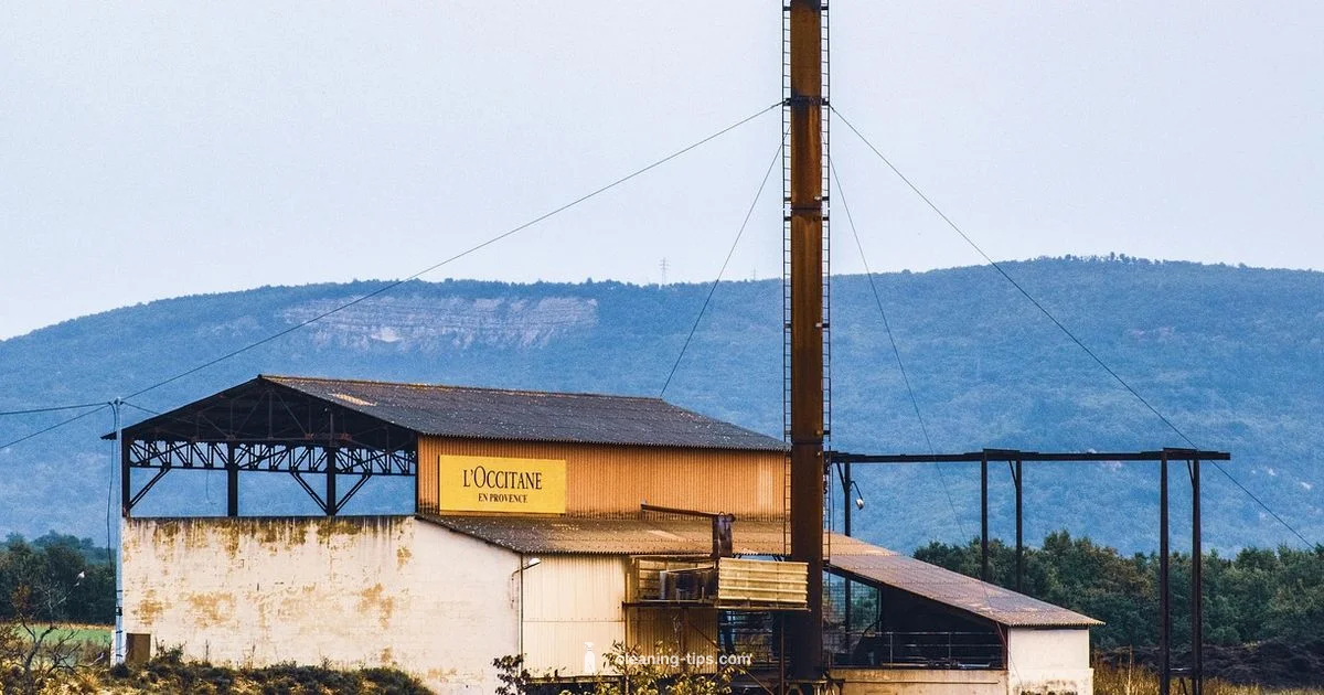 Occitane Clean Guide - Cleaning Tips