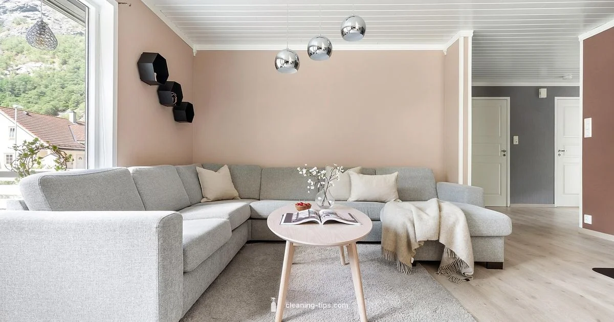 Clean TV Safely - Cleaning Tips