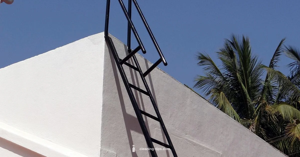 Roof Cleaning in San Jose - Cleaning Tips