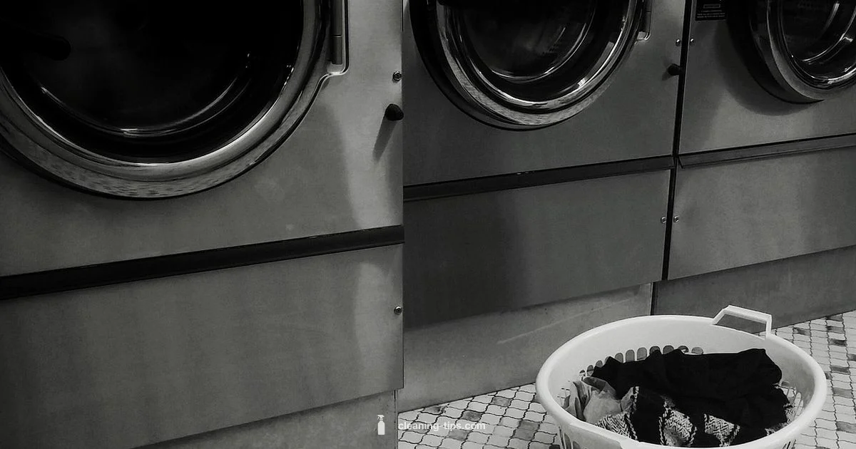 DIY Laundry Detergent DIY Laundry Detergent - Cleaning Tips