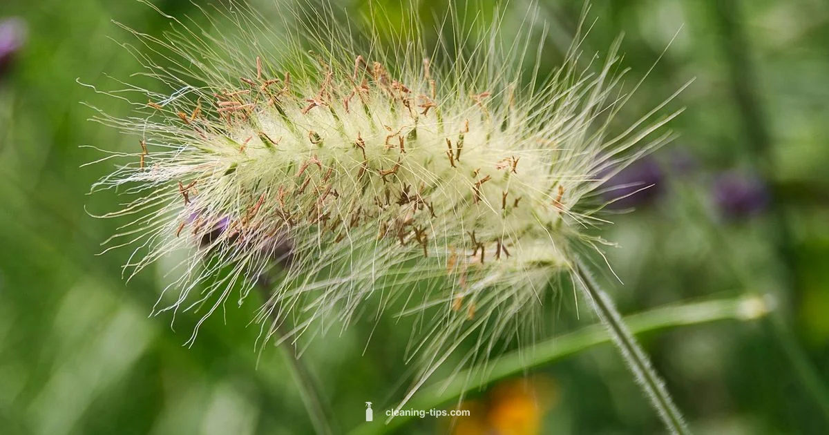 4-Hour Cleaning Plan - Cleaning Tips