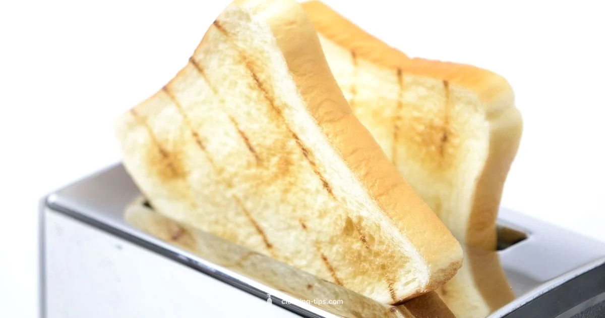 Inside Toaster Care Inside Toaster Care - Cleaning Tips