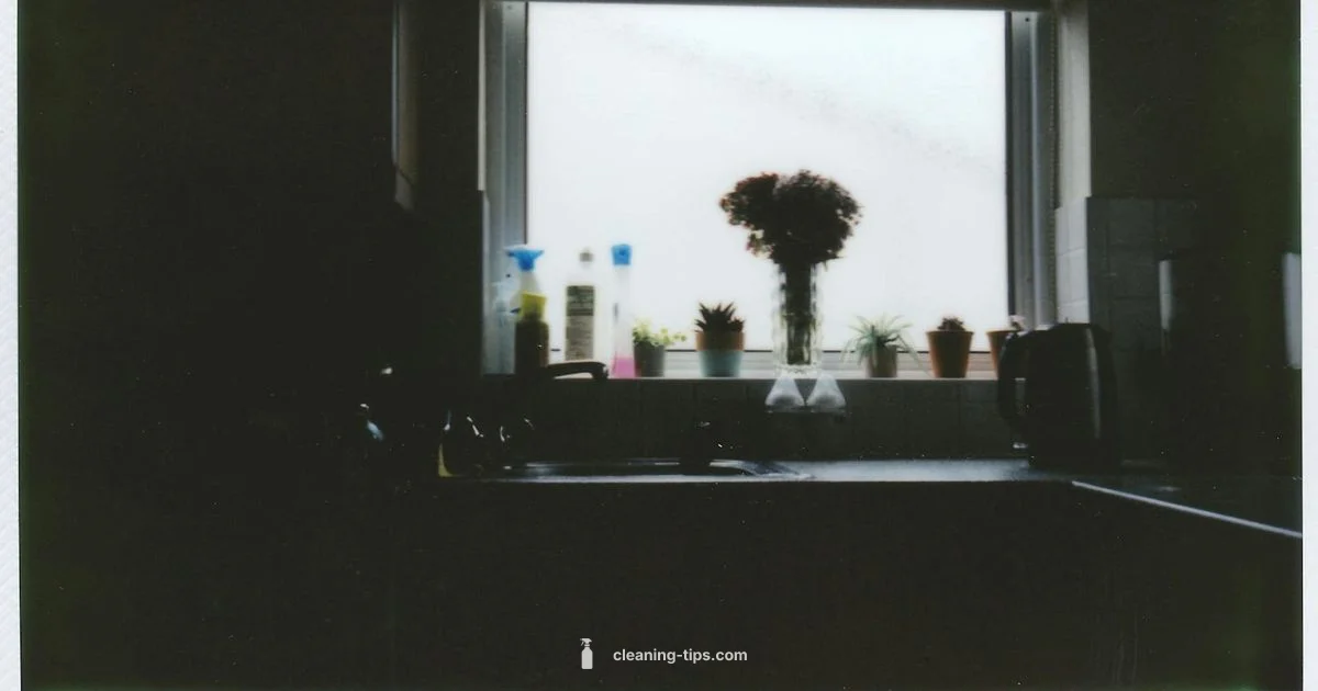 Cleaners 101 Guide - Cleaning Tips