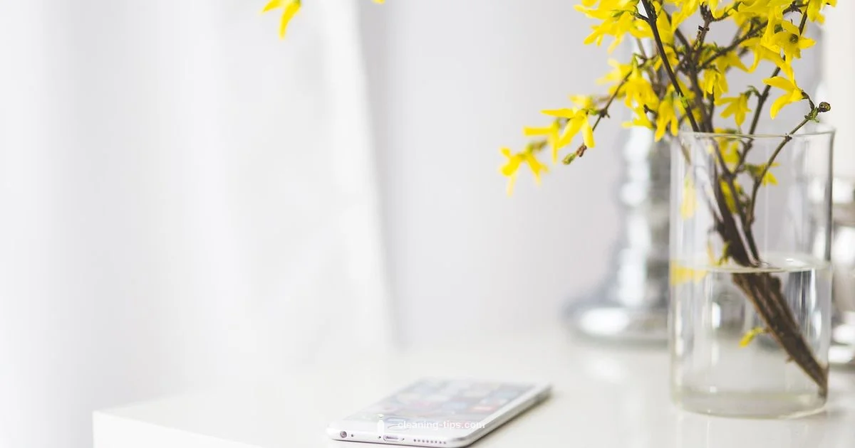 iPhone 15 Cleanup - Cleaning Tips