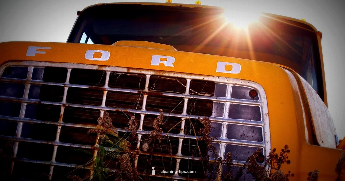 Clean Title Guide Clean Title Guide - Cleaning Tips