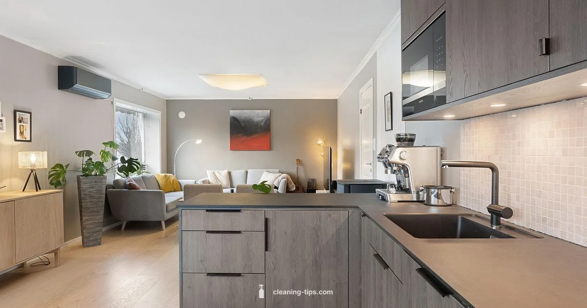 Drain Care Tips Drain Care Tips - Cleaning Tips