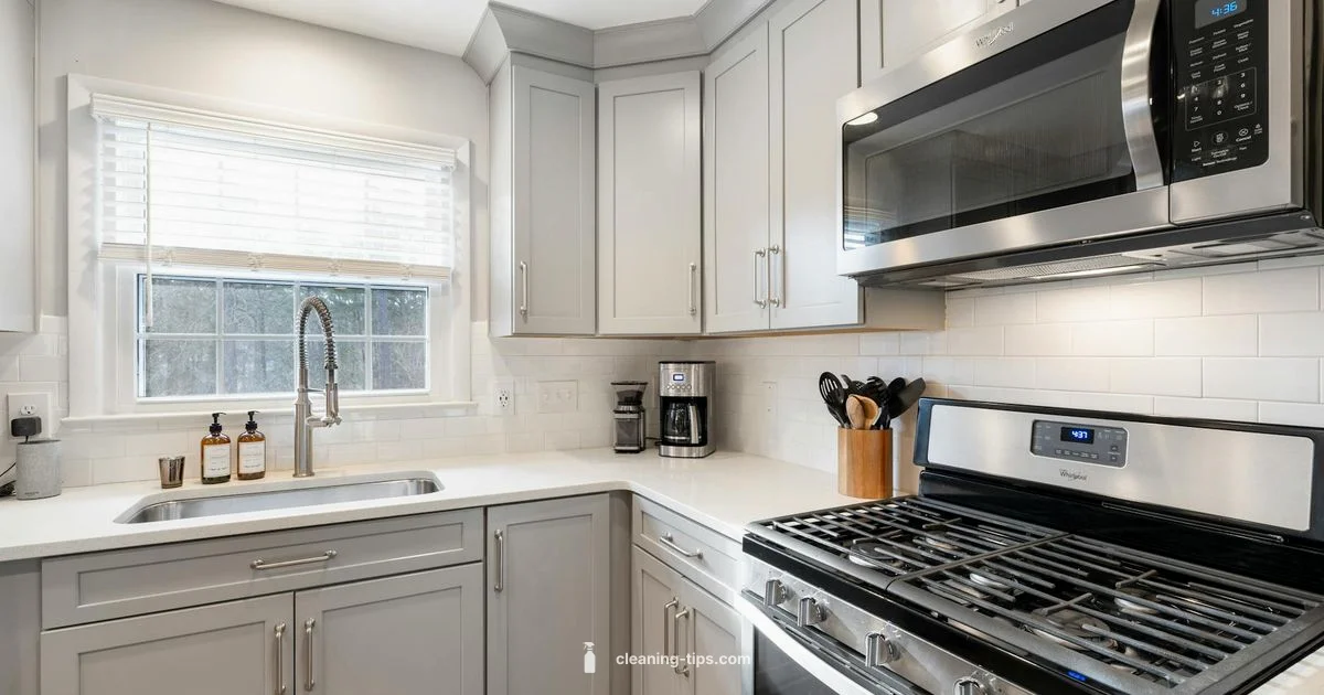 Efficient Cleanup Plan - Cleaning Tips