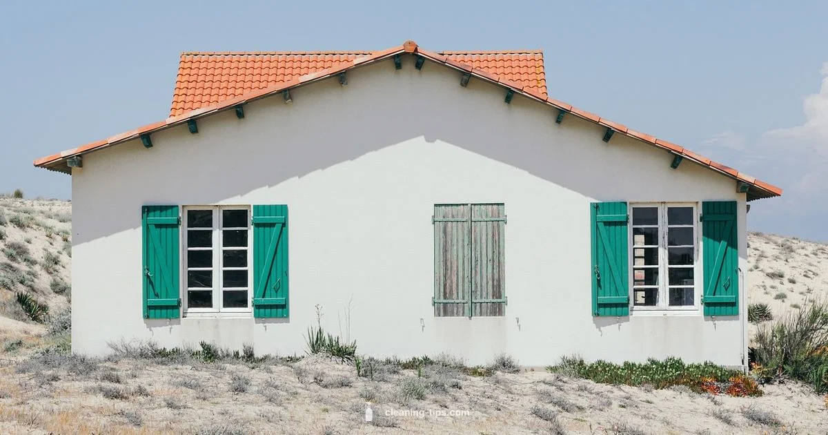 Exterior Cleaning Guide - Cleaning Tips