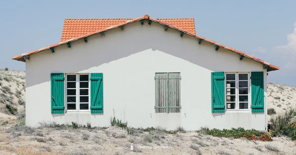 Exterior Cleaning Guide - Cleaning Tips