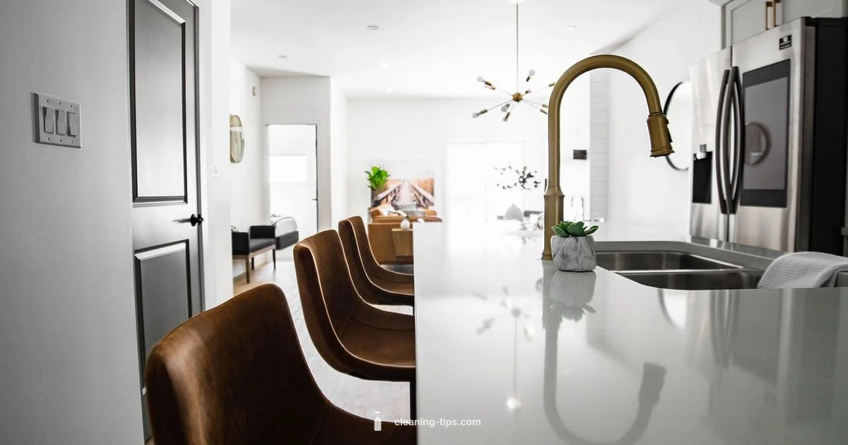 Clean Living Habits - Cleaning Tips