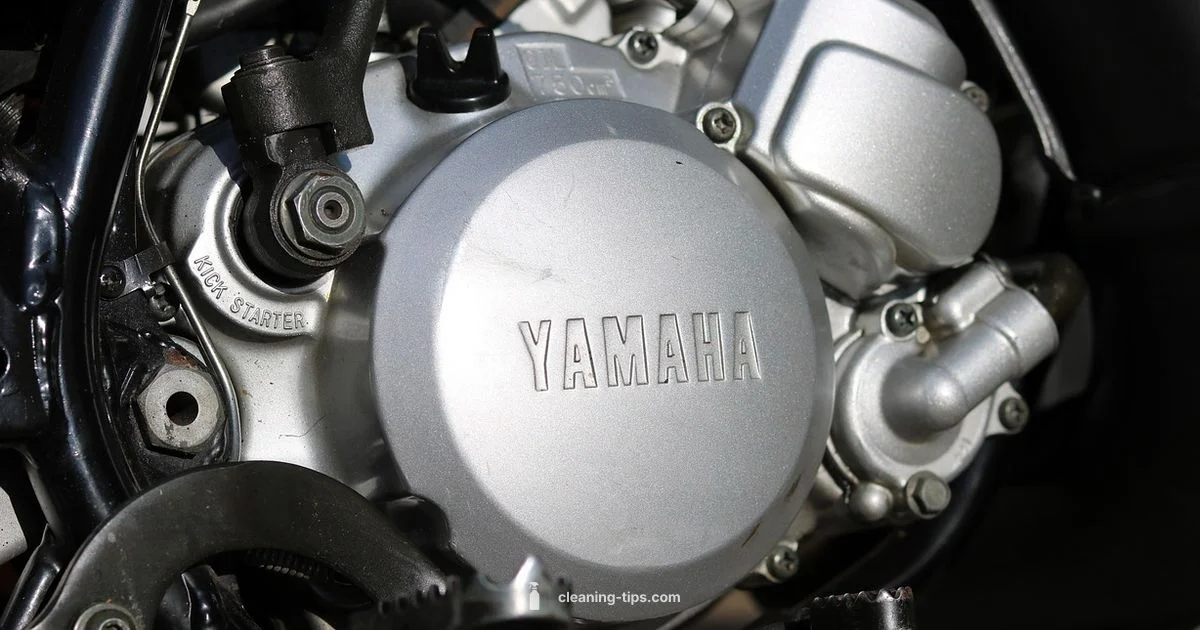 Fuel Injector Cleaning - Cleaning Tips