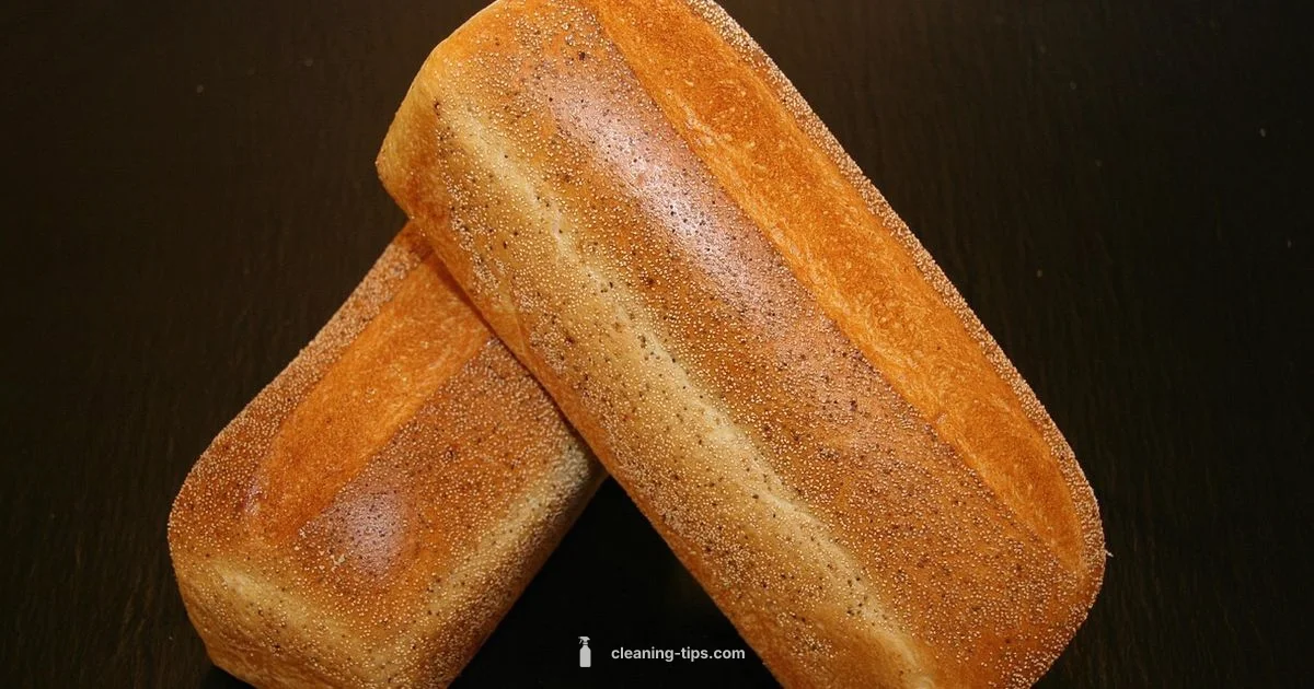 Mold Cleaning with Vinegar - Cleaning Tips