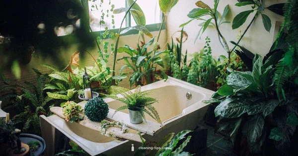 Cruelty-Free Q-Tips - Cleaning Tips