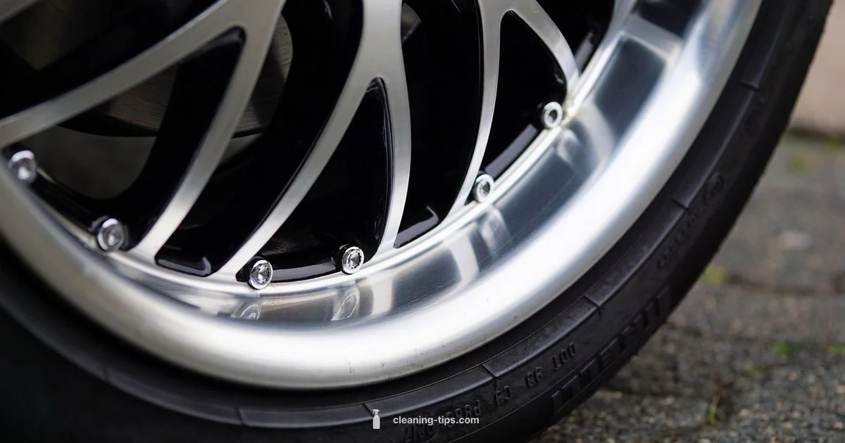 Shiny Rim Guide - Cleaning Tips