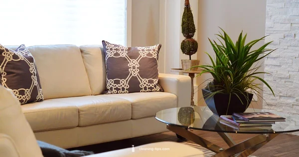 Get Clean from Weed - Cleaning Tips