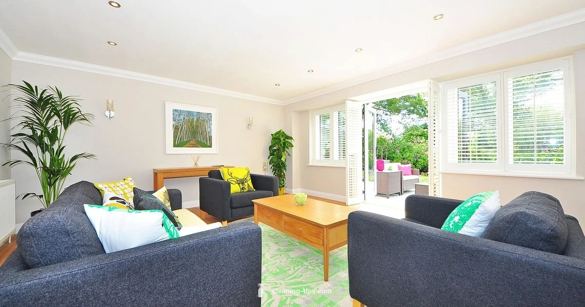 Robotics Clean - Cleaning Tips