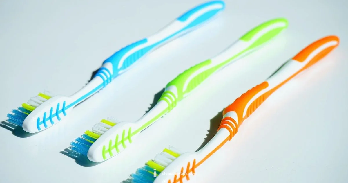 Healthy Teeth, Happy Dog - Cleaning Tips