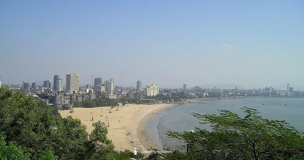 Clean City India - Cleaning Tips