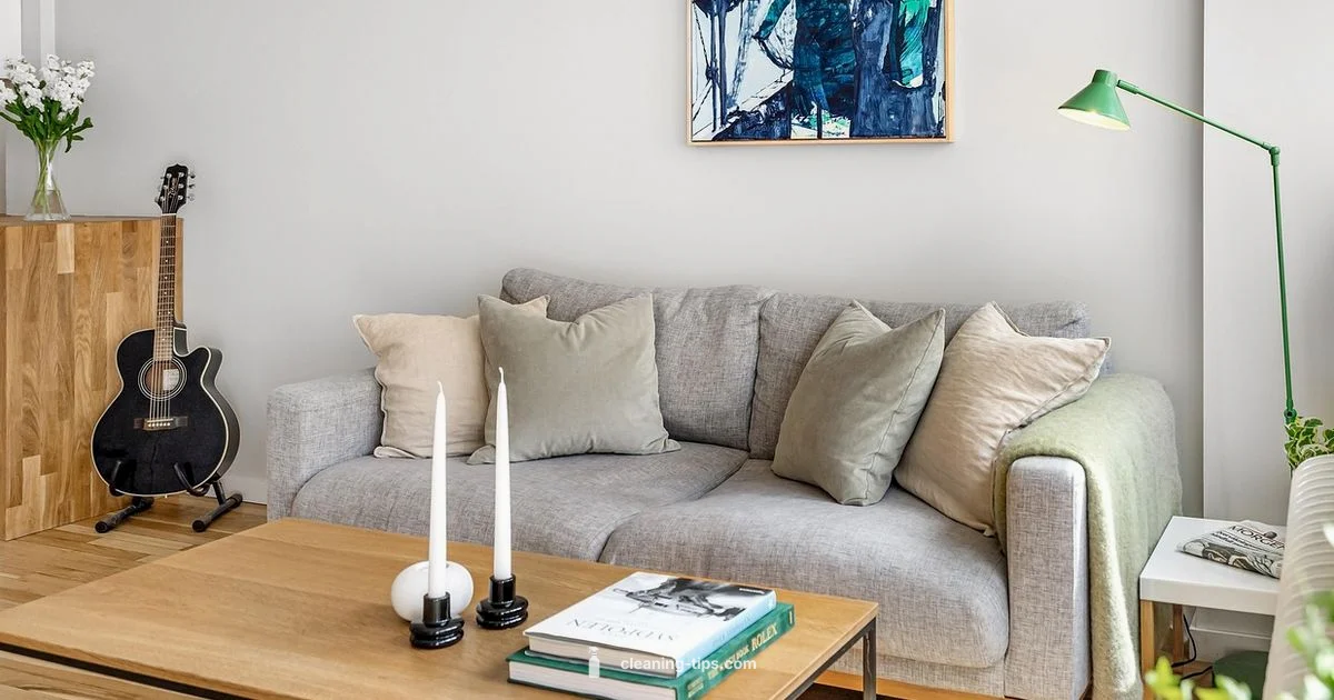 Carpet Price Guide Carpet Price Guide - Cleaning Tips