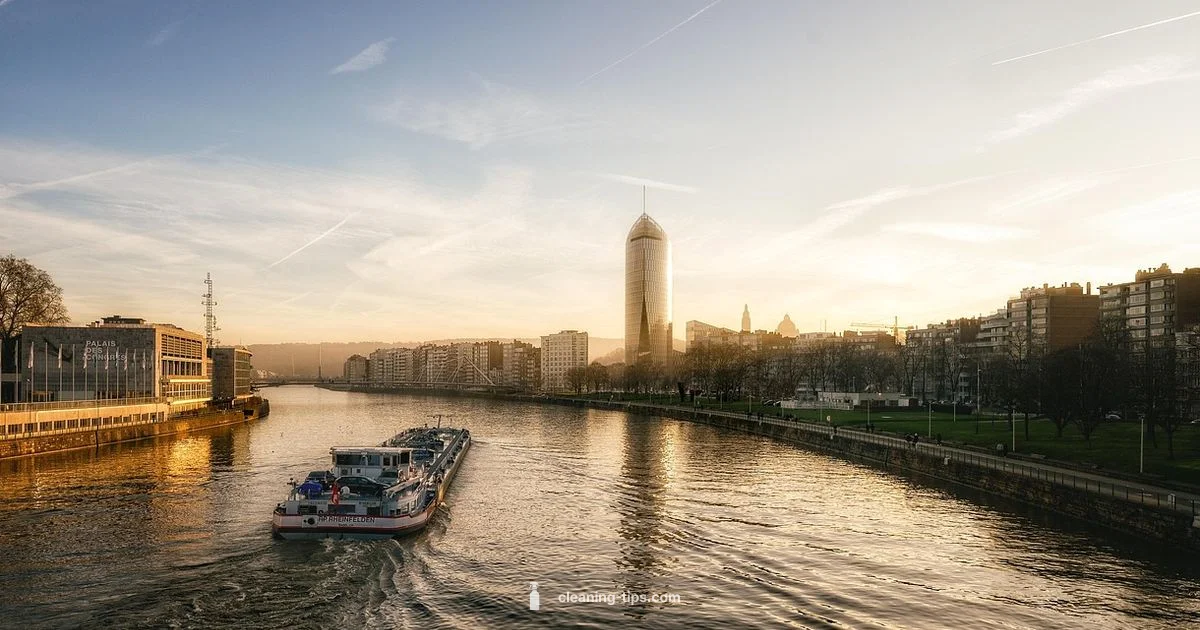 Clean Air Act Basics Clean Air Act Basics - Cleaning Tips