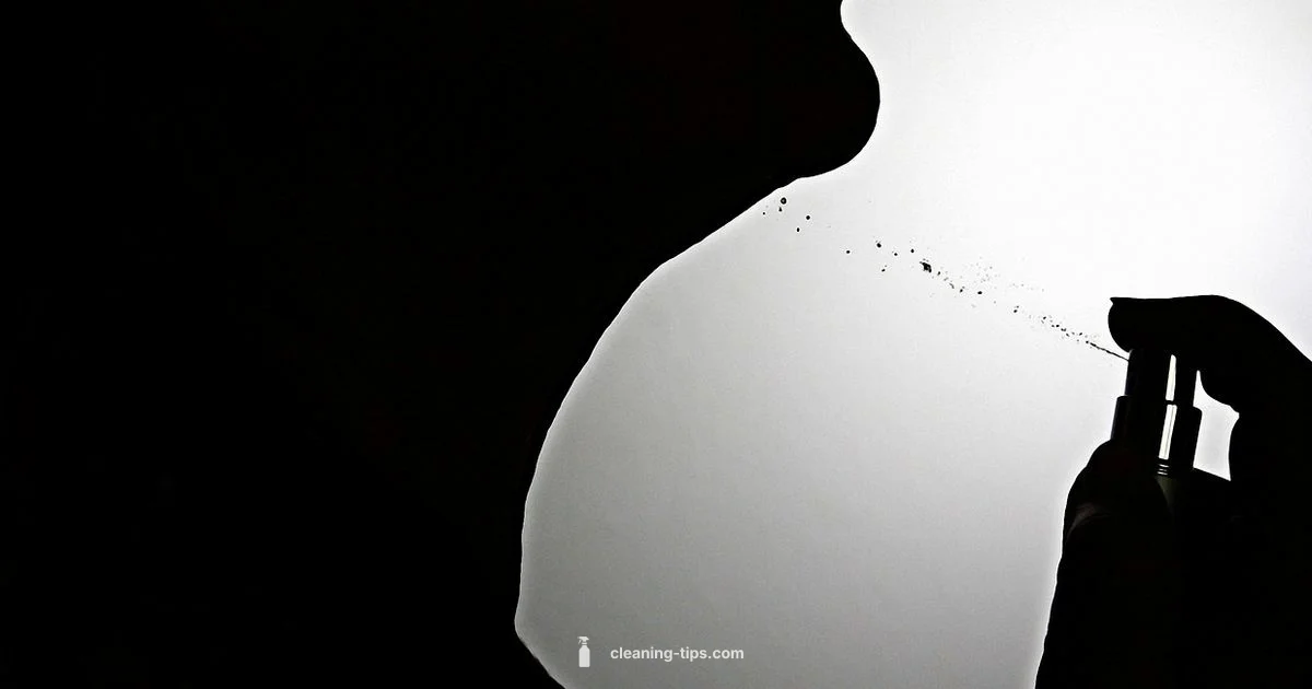 Mr Clean Review - Cleaning Tips