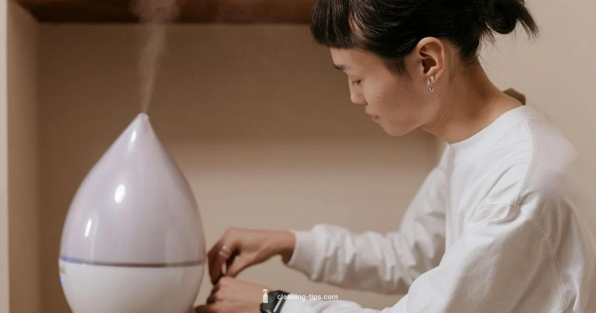 Easy Clean Humidifier - Cleaning Tips