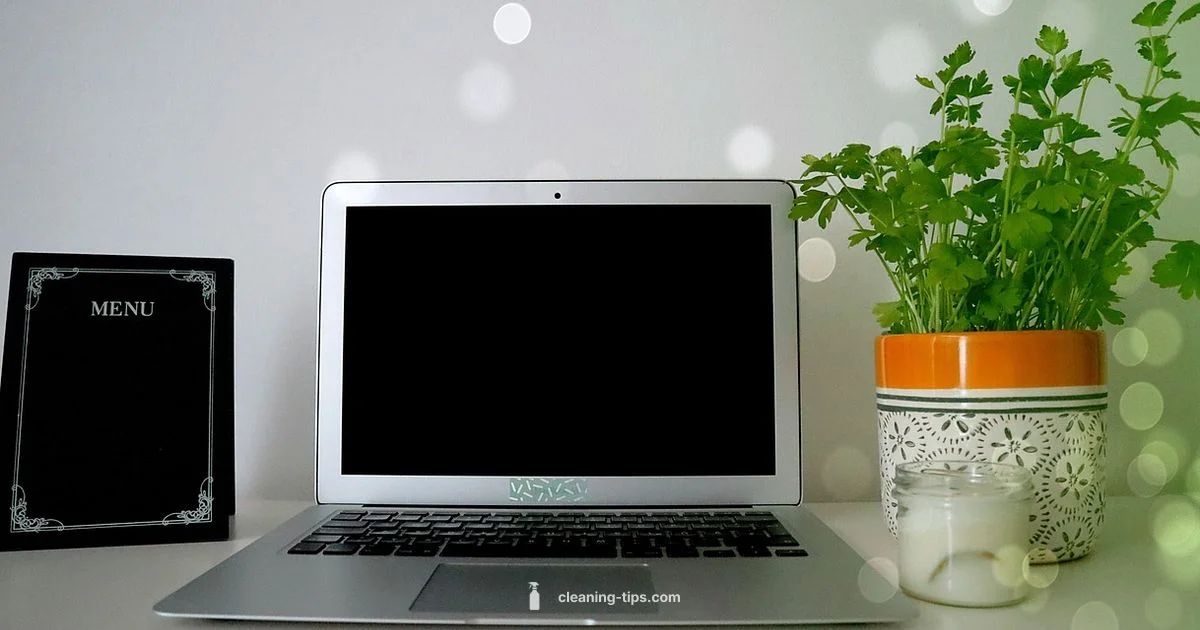 Free PC Cleaning - Cleaning Tips