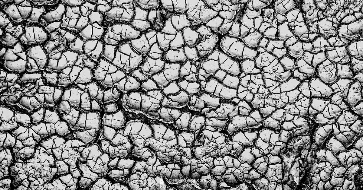 One-Day Dry Cleaning - Cleaning Tips