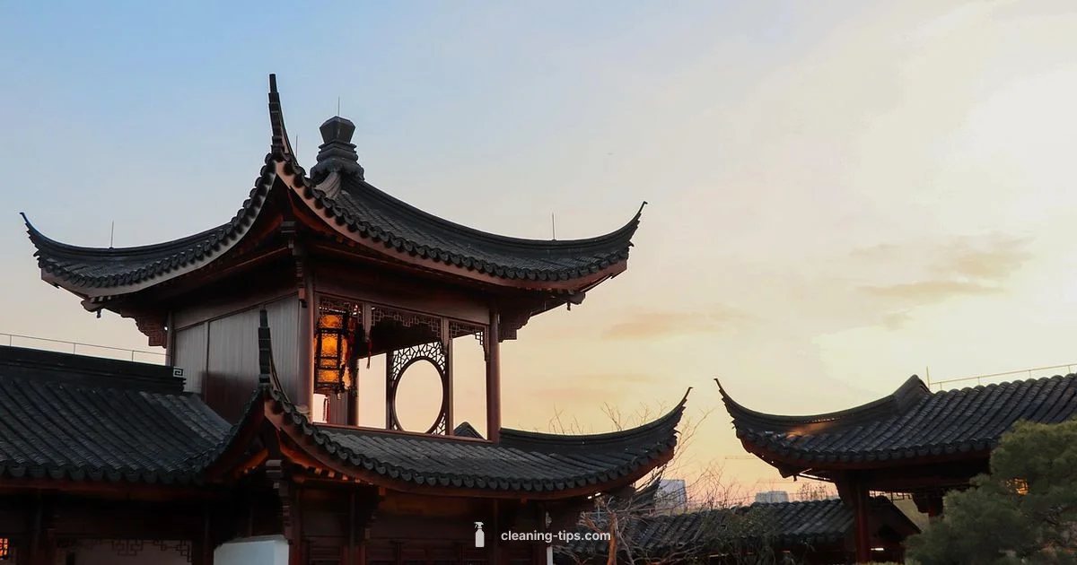 Clean vs Unclean Clean vs Unclean - Cleaning Tips