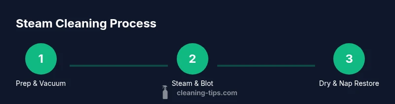 infographic showing a 3-step steam cleaning process for furniture
