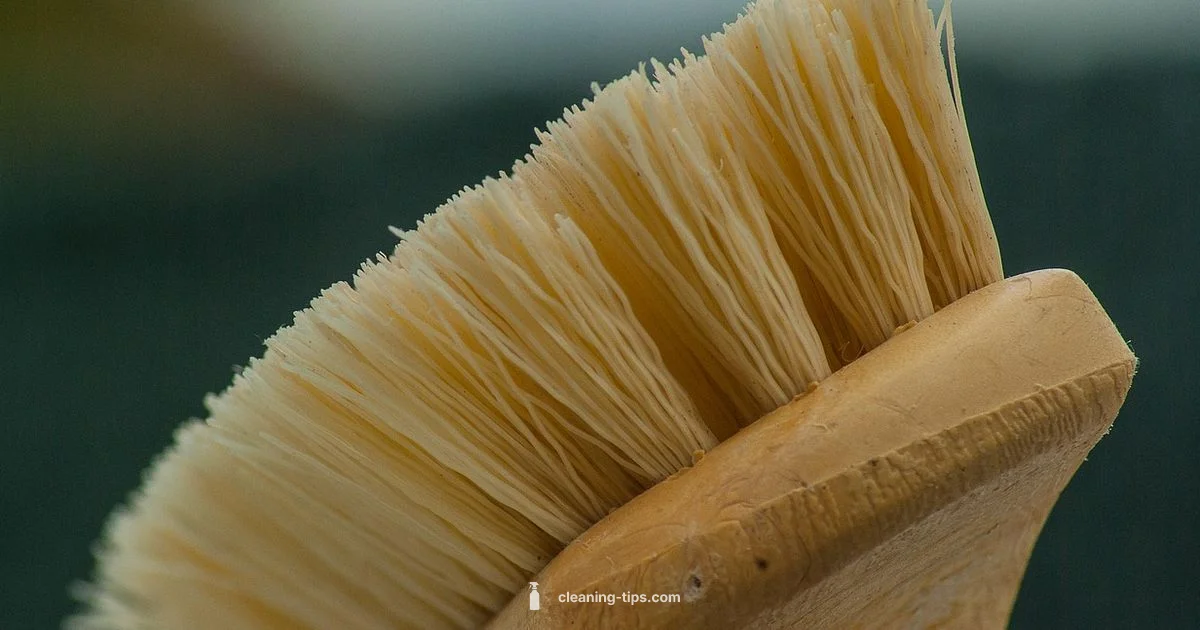 Creedmoor Bore Brush Size Creedmoor Bore Brush Size - Cleaning Tips