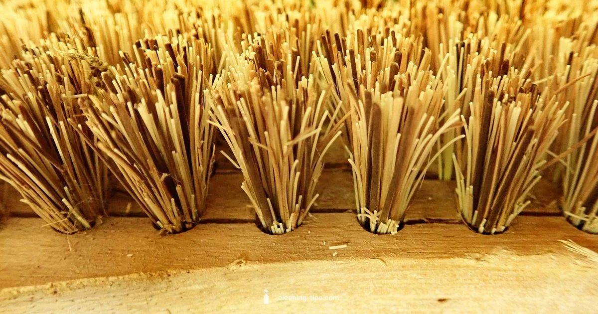 Cleaning as Exercise - Cleaning Tips